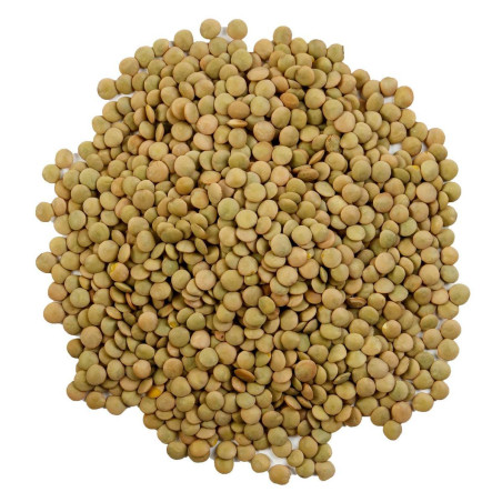 GREEN LENTILS