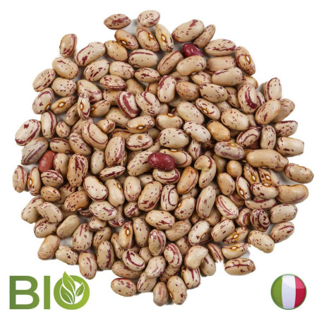 FAGIOLI BORLOTTI BIO ITALIA