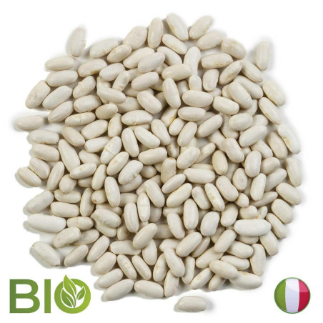 FAGIOLI CANNELLINI BIO ITALI