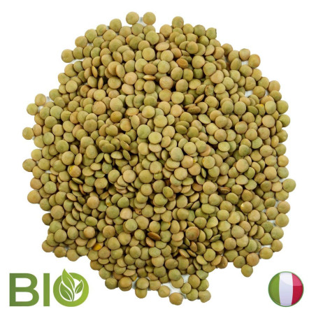 ITALIAN ORGANIC LAIRD LENTILS