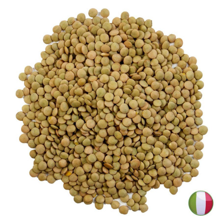 ITALIAN GREEN LENTILS