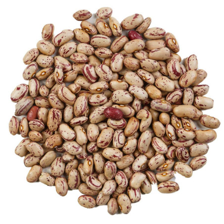 BORLOTTI BEANS