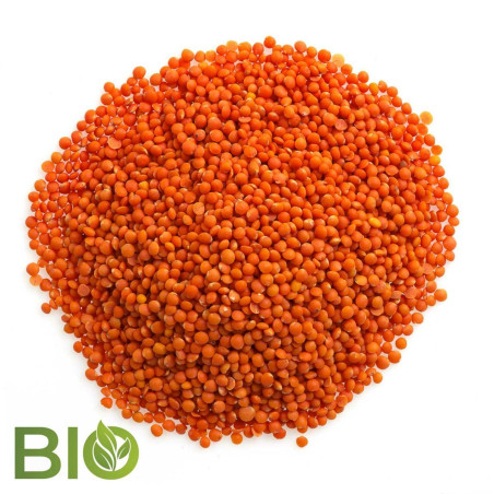 ORGANIC RED FOOTBALL LENTILS